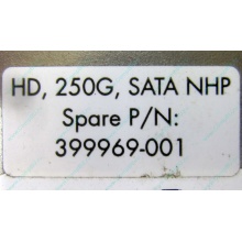 HP 250G 7.2k 432337-001/ 399699-001 / 397377-004 SATA HDD (Камышин)