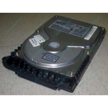 Жесткий диск 18.4Gb Quantum Atlas 10K III U160 SCSI (Камышин)