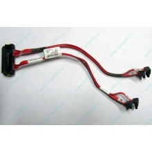 SATA-кабель для корзины HDD HP 451782-001 459190-001 для HP ML310 G5 (Камышин)