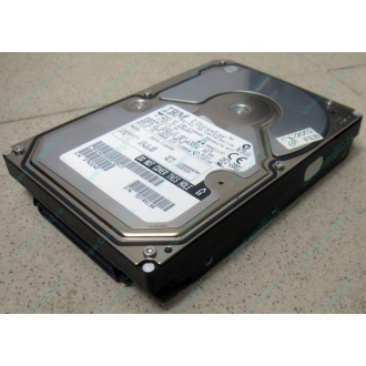 Жесткий диск 18.2Gb IBM Ultrastar DDYS-T18350 Ultra3 SCSI (Камышин)