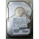 Жесткий диск 18.2Gb IBM Ultrastar DDYS-T18350 Ultra3 SCSI (Камышин)