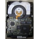 Жесткий диск 18.2Gb IBM Ultrastar DDYS-T18350 Ultra3 SCSI (Камышин)