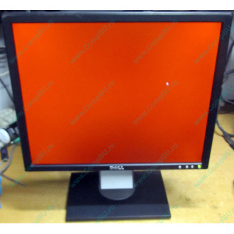 Dell E197F P в Камышине, монитор 19" TFT Dell E197FPb (Камышин)