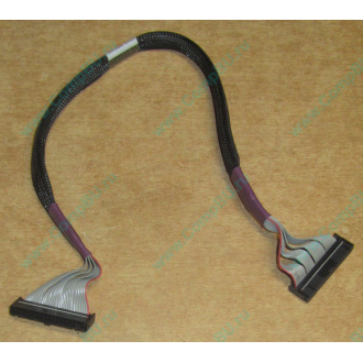 FDD-кабель HP 271946-006 для HP ML370 G3 G4 (Камышин)