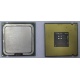 Процессор Intel Celeron D 336 (2.8GHz /256kb /533MHz) SL98W s.775 (Камышин)