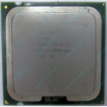 Процессор Intel Pentium-4 521 (2.8GHz /1Mb /800MHz /HT) SL8PP s.775 (Камышин)