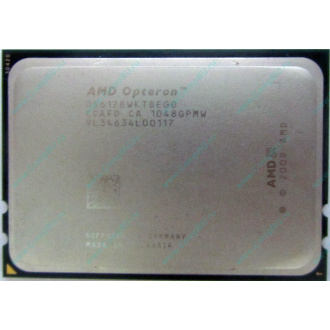 AMD Opteron 6128 OS6128WKT8EGO (Камышин)